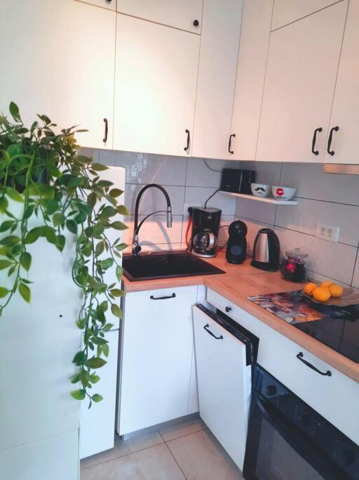 Apartman Nane Solin Exteriér fotografie